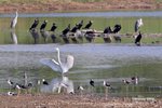 IMG_3718a