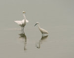 IMG_4924a