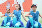 5D3_8360a