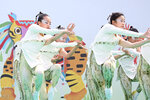 5D3_8815a