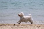 IMG_3222a