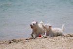 IMG_3224a