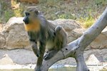 IMG_6485a