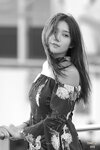 5DM31297bw