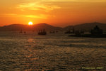 IMG_2207a