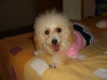 Cimg0827