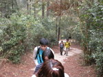 DSCN2798