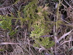 DSCN2841