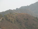 DSCN2853
