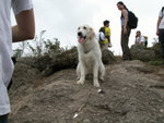DSCN2860