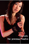 theprincesstheatre_2006527_4