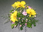 17-8-2005(10)