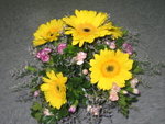 17-8-2005(11)