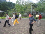 (3)