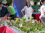 DSCN4684