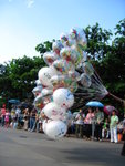 Disneyland (1)