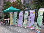 IMG (16)