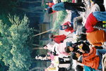 BBQ (65)