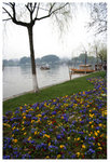 白堤 - 西湖 Bai Causeway - West Lake