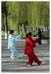 柳浪聞鶯 - 西湖 Orioles Singing in Ripples of Willows (Liulangwenying) - West Lake