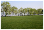柳浪聞鶯 - 西湖 Orioles Singing in Ripples of Willows (Liulangwenying) - West Lake
