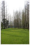 學士公園 - 西湖 West Lake