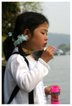 小瀛洲 - 西湖 Lesser Yingzhou Island (Small Fairy Island）- West Lake