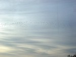 DSC01313