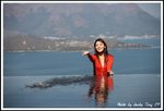 DPP_0381