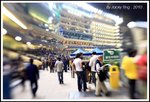 DPP_0022