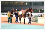 DPP_0038