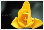 034