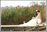 DPP_0004a