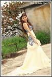 DPP_0032a