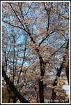 DPP_0125