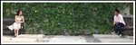 DPP_0117a