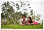 DPP_0196
