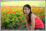 DPP_0200