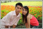 DPP_0201