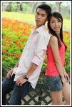DPP_0203