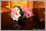 DPP_0784