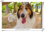 CJ6E1298