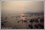 DPP_0005