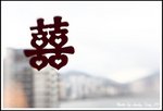 DPP_0041