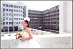 DPP_0225