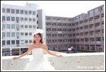 DPP_0229