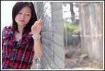 DPP_0020