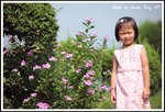DPP_0053