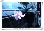 CJ6E0059