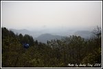 DPP_0343